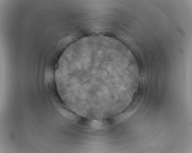 X0000111010623200907171836