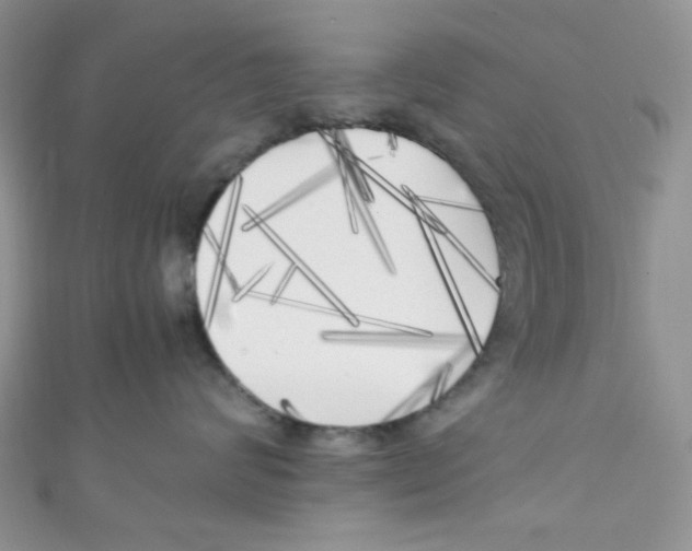 X0000111010624200907171836