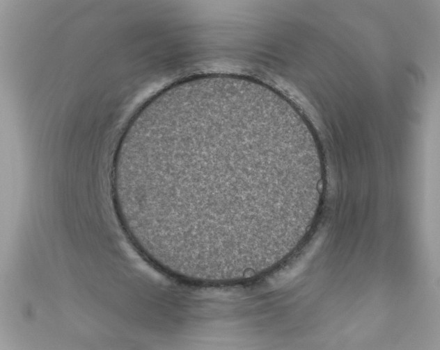 X0000111010625200907171835