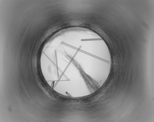 X0000111010626200907171835