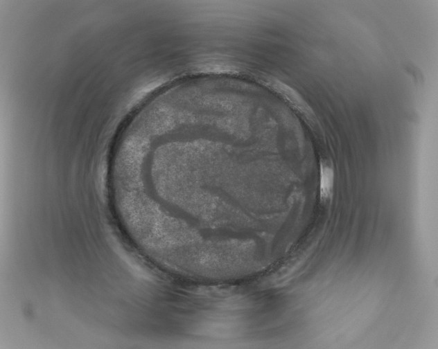 X0000111010627200907171835