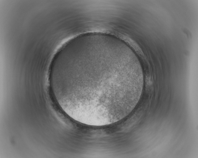 X0000111010628200907171835