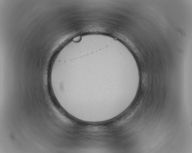 X0000111010629200907171835