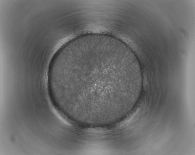X0000111010630200907171835