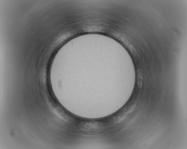X0000111010631200907171835