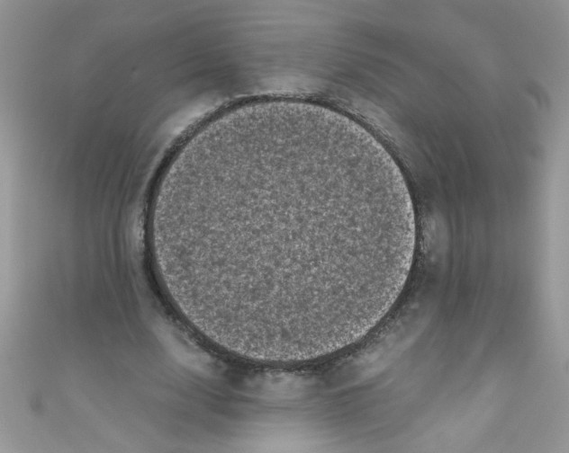 X0000111010632200907171835