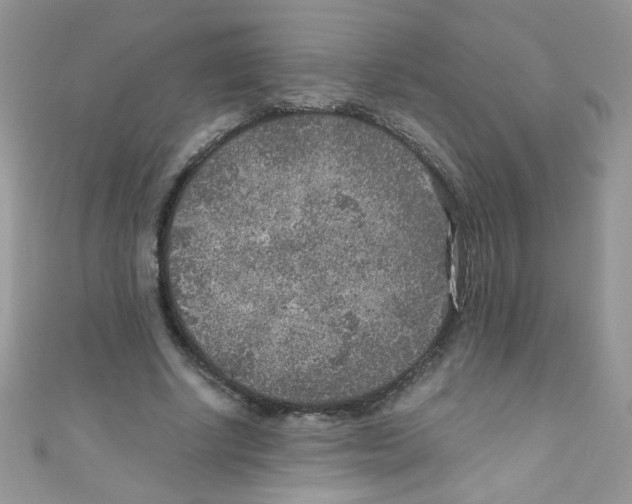 X0000111010634200907171835