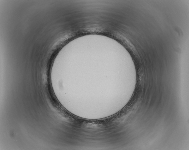 X0000111010635200907171835