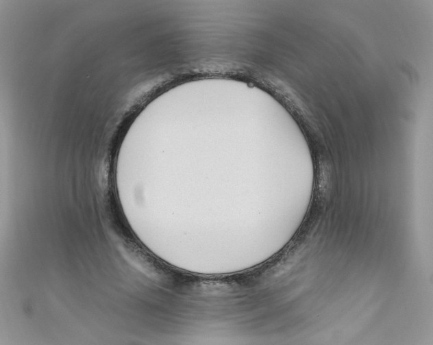X0000111010636200907171835