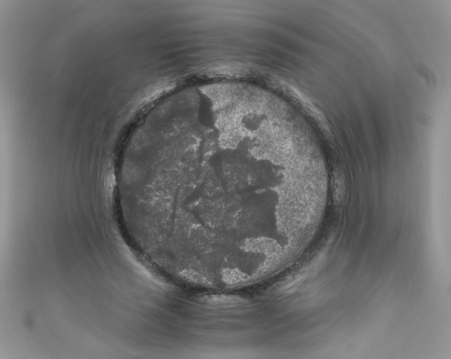 X0000111010637200907171835