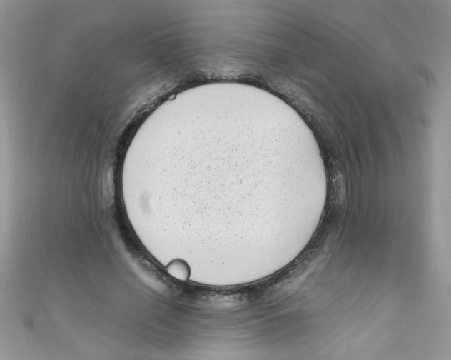 X0000111010638200907171835
