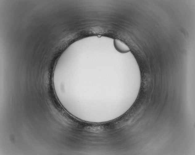 X0000111010639200907171835