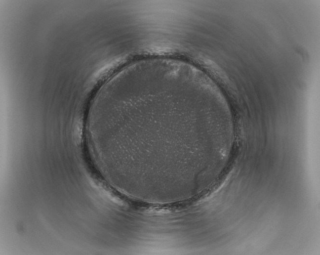 X0000111010640200907171835