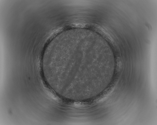 X0000111010641200907171835