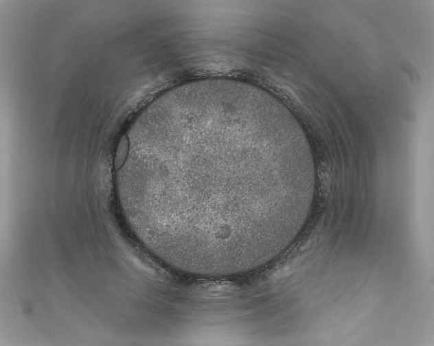 X0000111010642200907171835