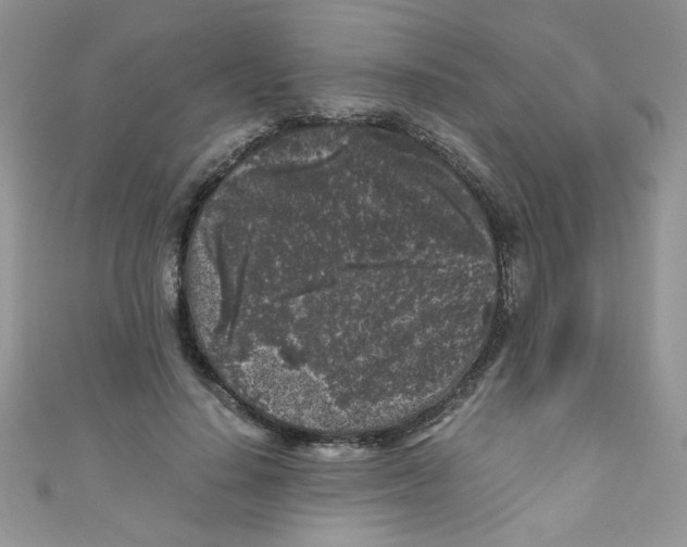 X0000111010644200907171835