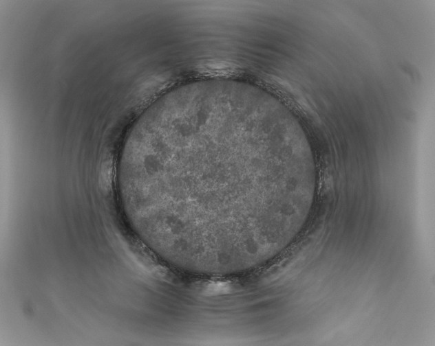 X0000111010647200907171835