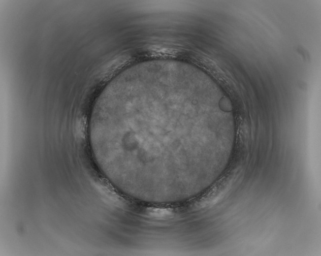 X0000111010649200907171835