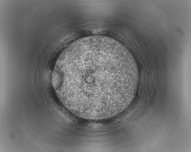 X0000111010650200907171835