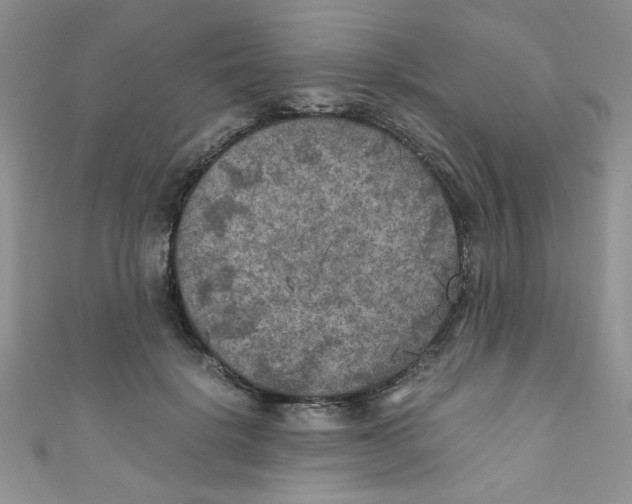 X0000111010652200907171835