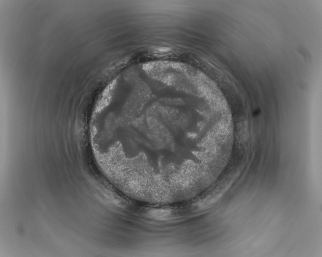 X0000111010653200907171835