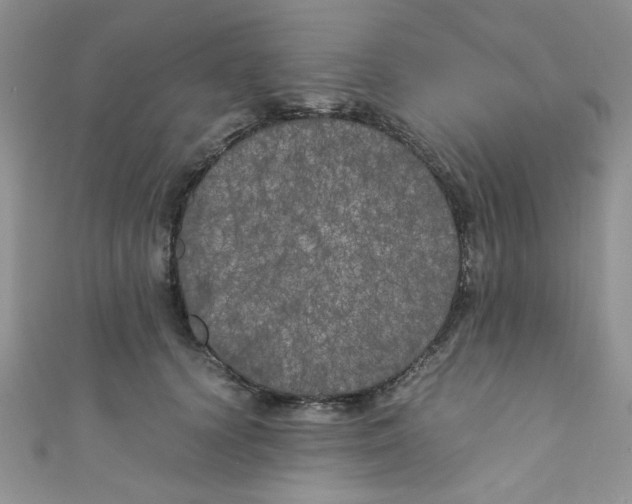 X0000111010656200907171835