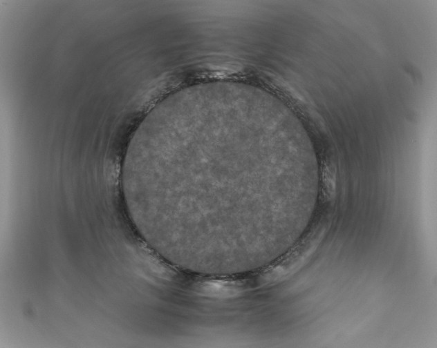 X0000111010657200907171835