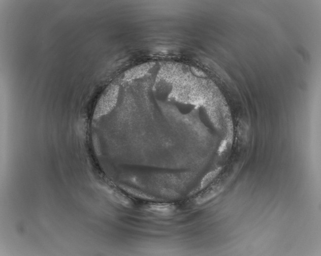X0000111010659200907171835