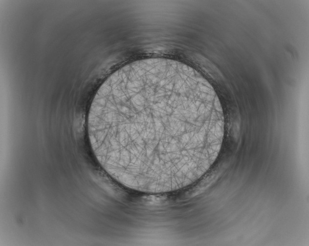 X0000111010660200907171835