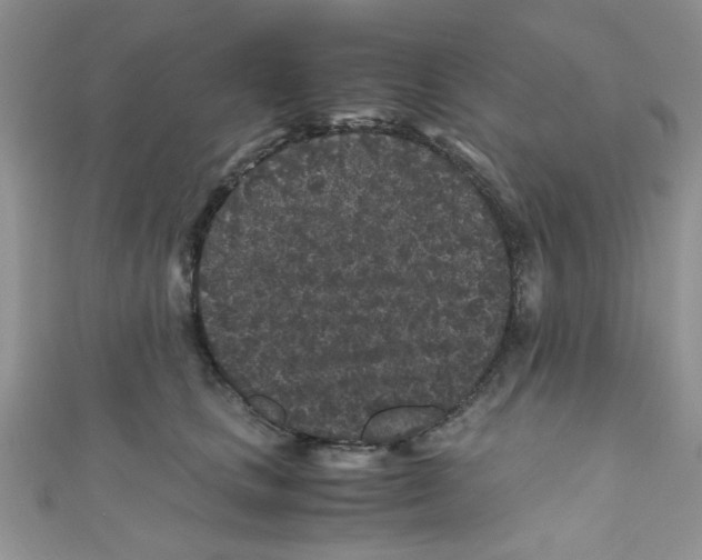 X0000111010661200907171835