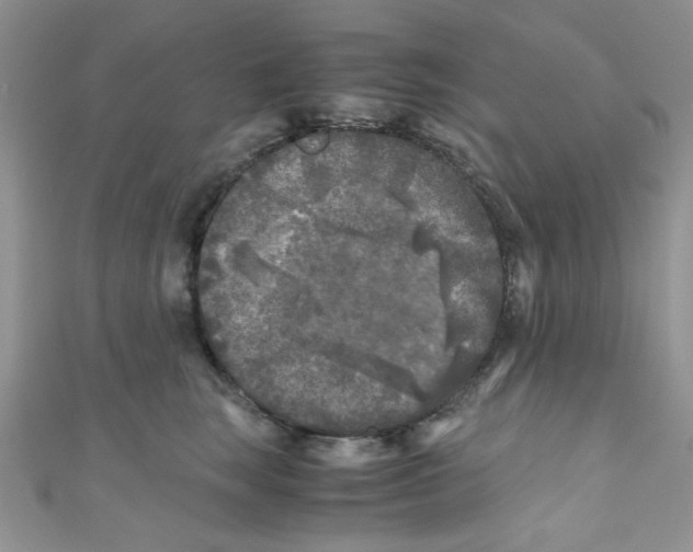 X0000111010663200907171836