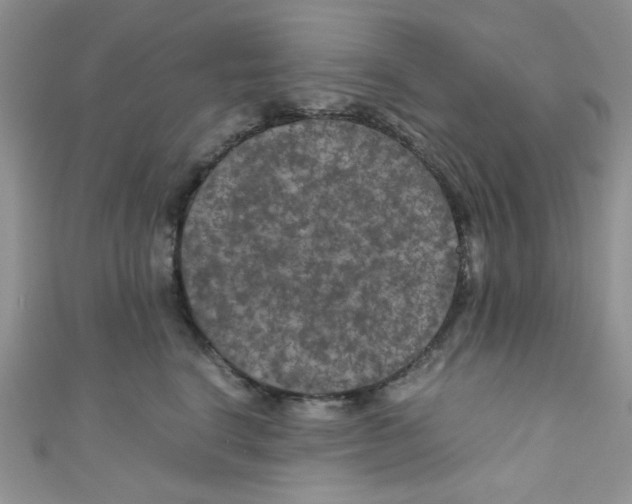 X0000111010664200907171836