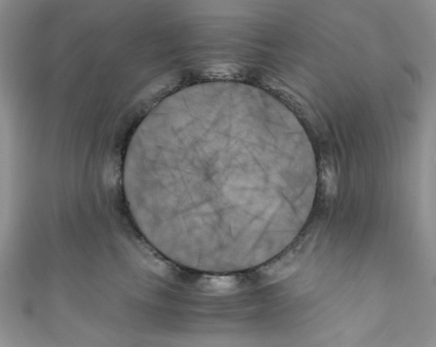 X0000111010665200907171836
