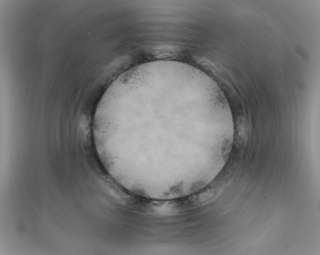 X0000111010667200907171836