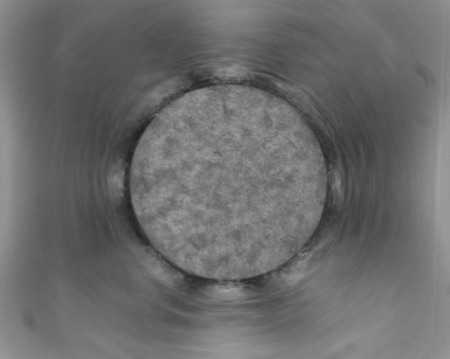 X0000111010668200907171836