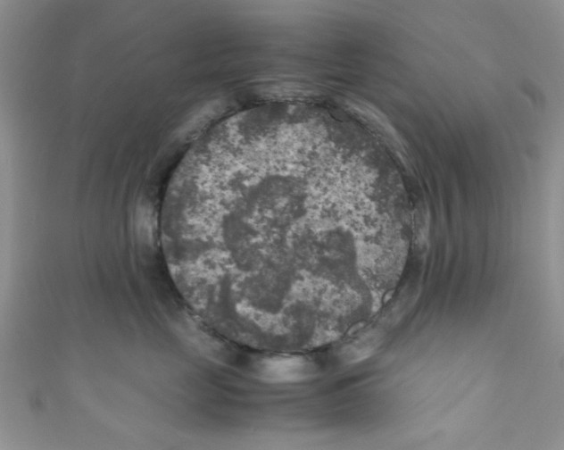 X0000111010669200907171836