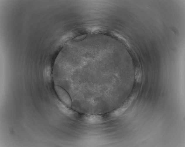 X0000111010670200907171836