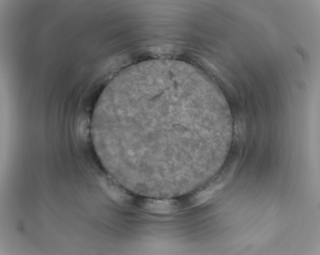 X0000111010671200907171836