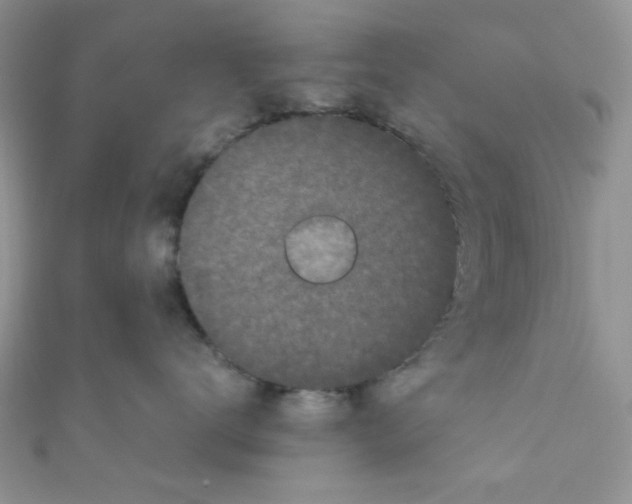 X0000111010672200907171836