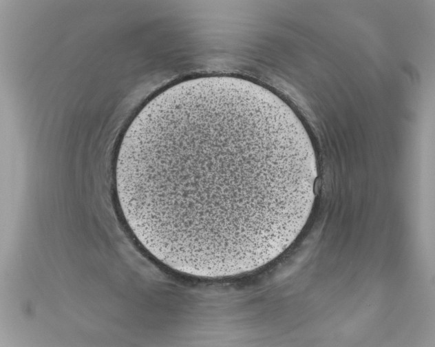 X0000111010673200907171835