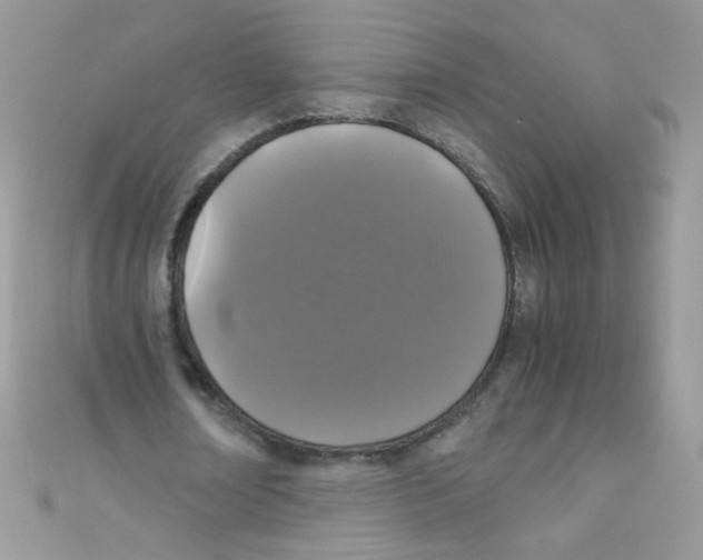 X0000111010674200907171835