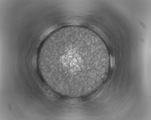 X0000111010675200907171835