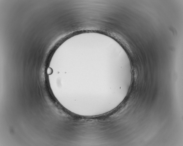 X0000111010676200907171835