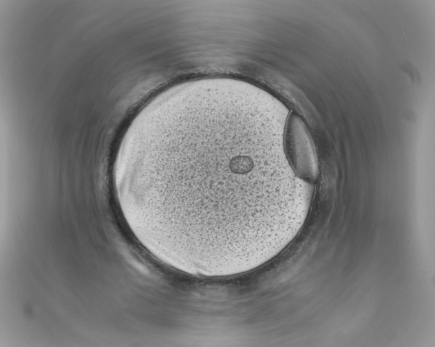 X0000111010677200907171835