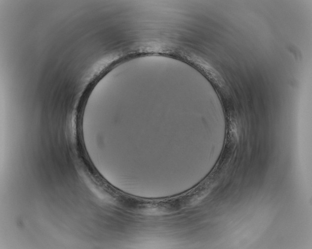 X0000111010678200907171835