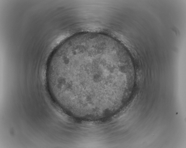 X0000111010679200907171835