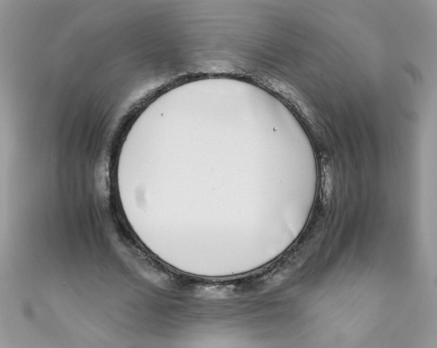 X0000111010680200907171835