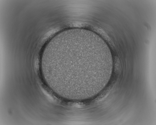 X0000111010683200907171835