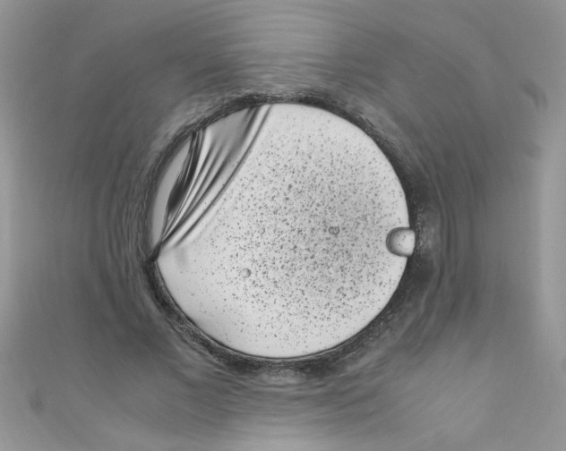 X0000111010685200907171835
