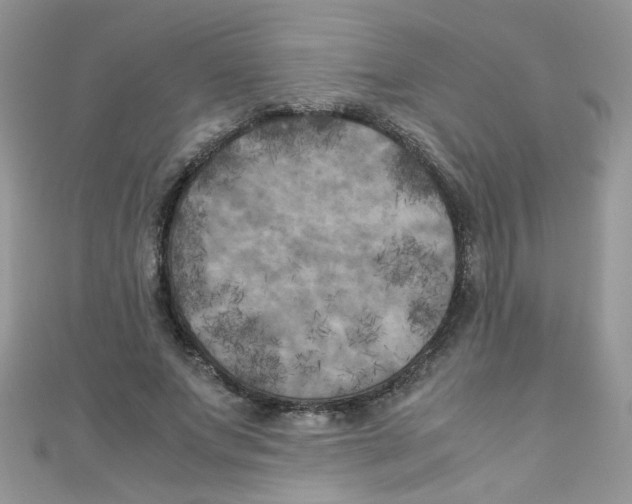 X0000111010687200907171835